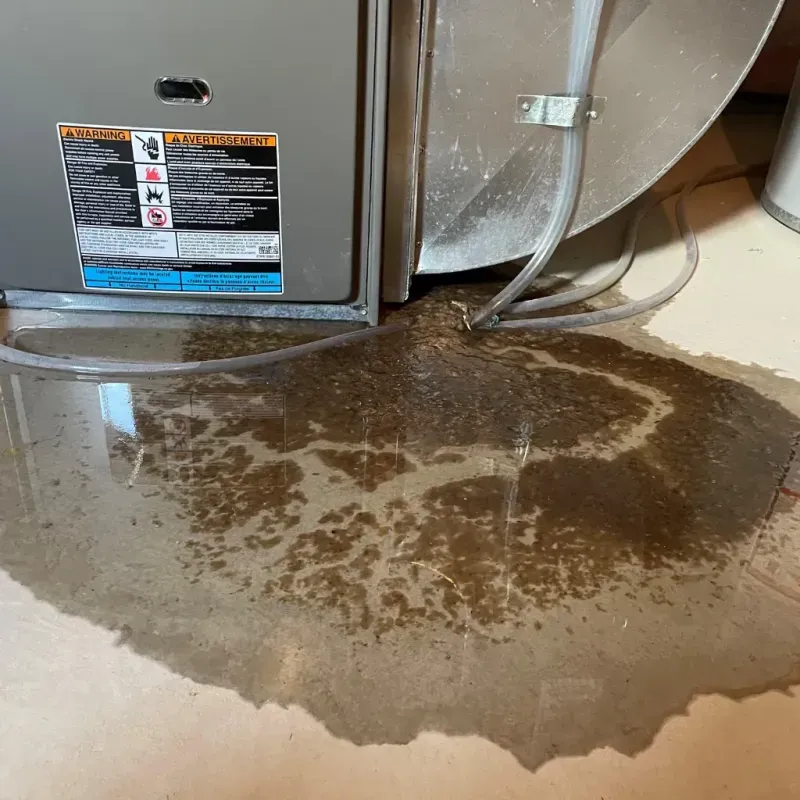 Appliance Leak Cleanup in Curry County, NM